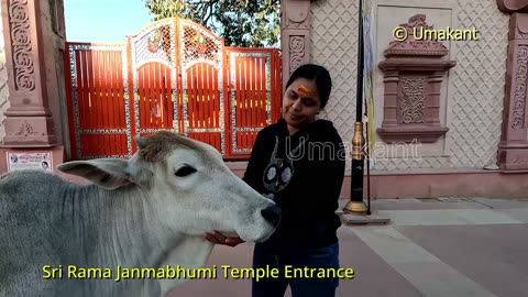 Ayodhya Sri Rama Janmabhumi Temple Entrance, crowd and Queue