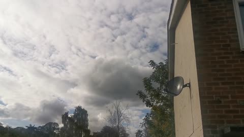 Who Is The Real Royal Sandringham Killer ? A 17 Year Old Girl