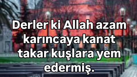 Günün sözü