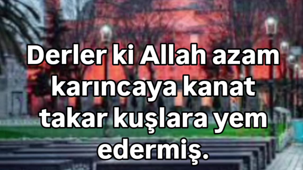 Günün sözü