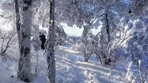 "Hiking the Snow Mountain Trail ❄️⛰️ | Winter Adventure Like No Other"