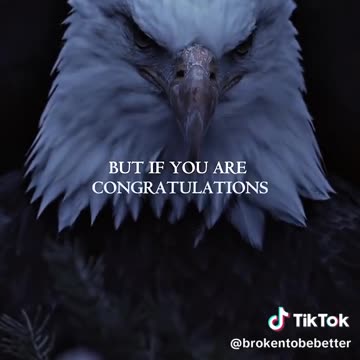 Eagles - Sometimes you must break to become stronger