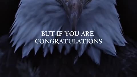 Eagles - Sometimes you must break to become stronger