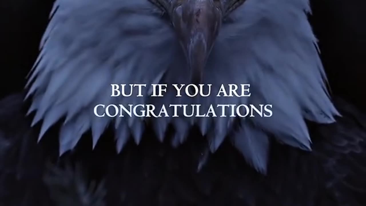 Eagles - Sometimes you must break to become stronger