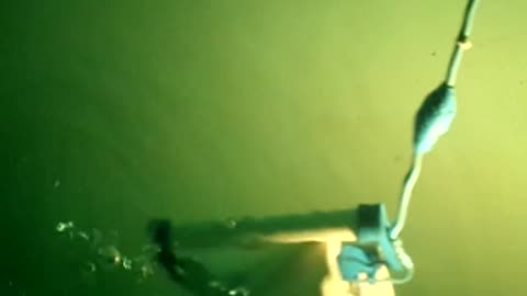 Pool cleaner in action