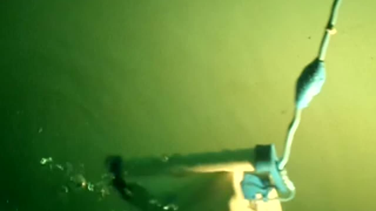 Pool cleaner in action