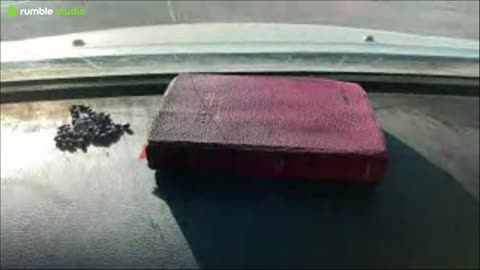 Rare Picture of Lincoln