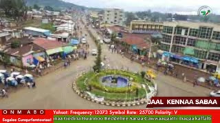 Oduu Waaree ONM-ABO Sadaasa 1-2025 itti dhiyaadhaa!