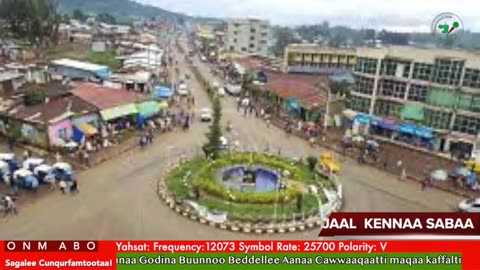 Oduu Waaree ONM-ABO Sadaasa 1-2025 itti dhiyaadhaa!