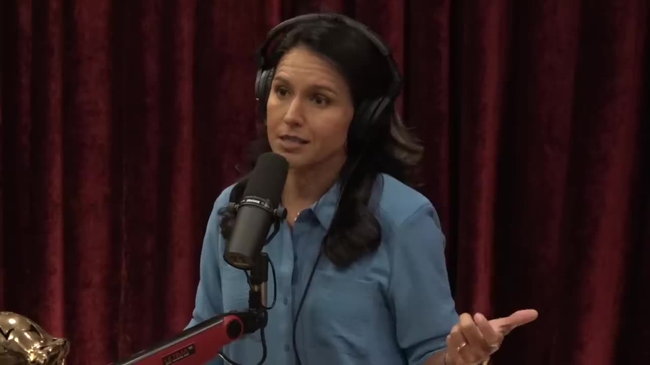 Tulsi Gabbard