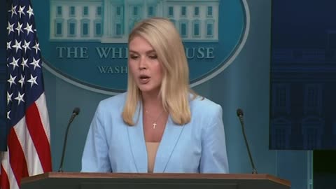 Karoline Leavitt dismisses potential for foreign influence through Trump crypto