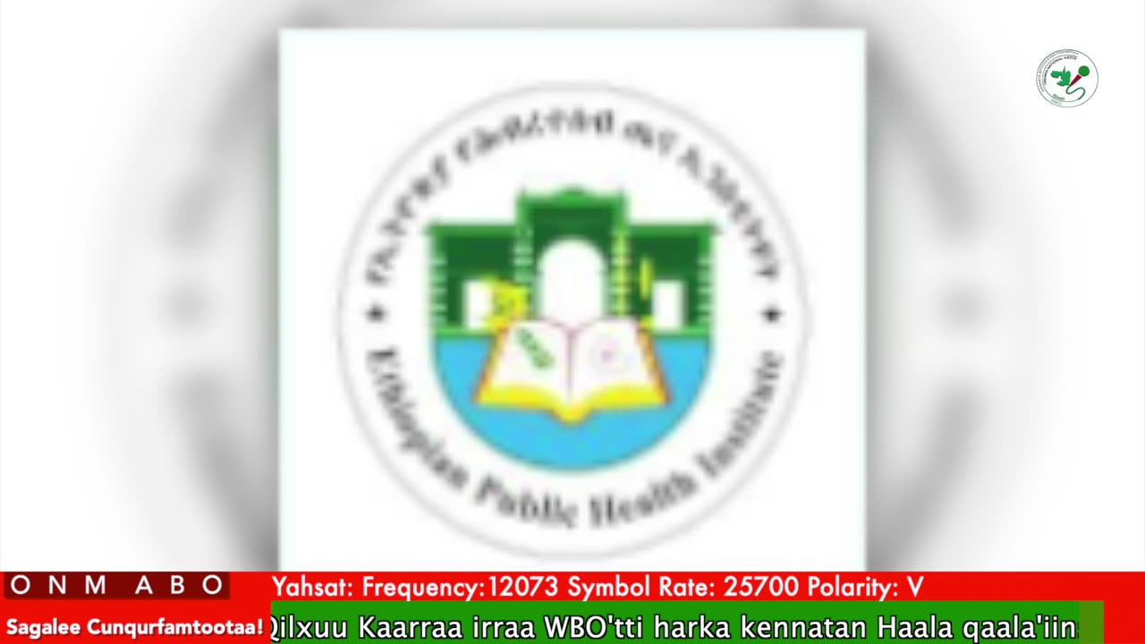 Oduu Waaree ONM-ABO Ebla 10-2025 itti dhiyaadhaa!