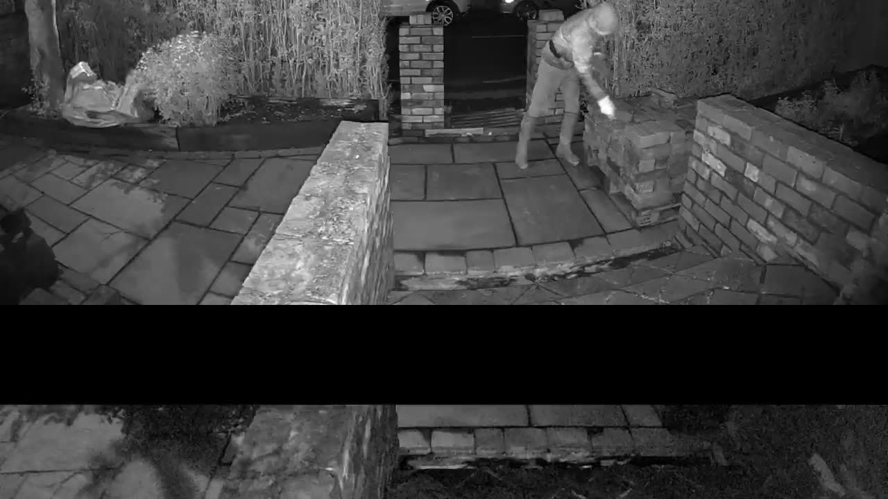 Person Steals Bricks Then Falls Over