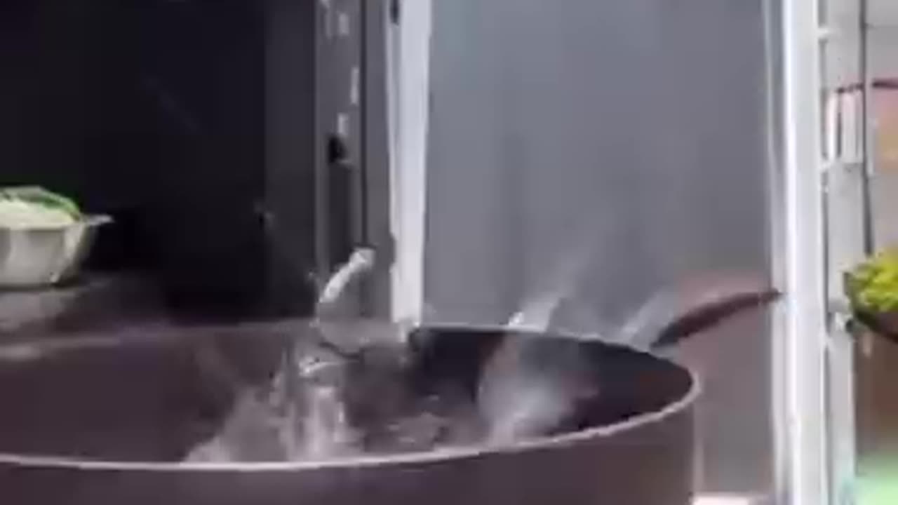 Funny