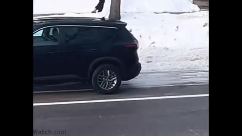 Video Showing Four Minutes Before The ICE Shooting