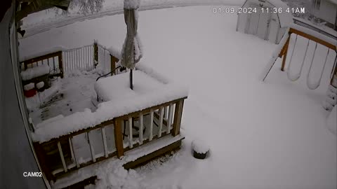 A Snowstorm In The Midwest: Timelapse