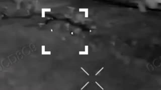 🛸💥 Ukraine Russia War | Ukrainian Drone Destroys Russian Flag-Bearer | RCF