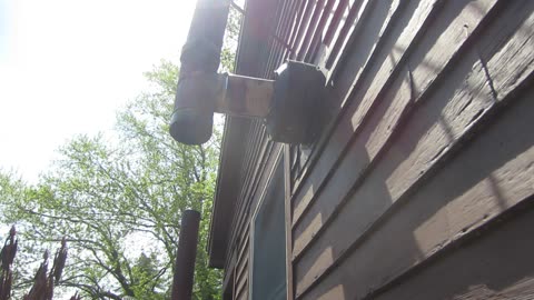 Bird rescued from stove pipe.