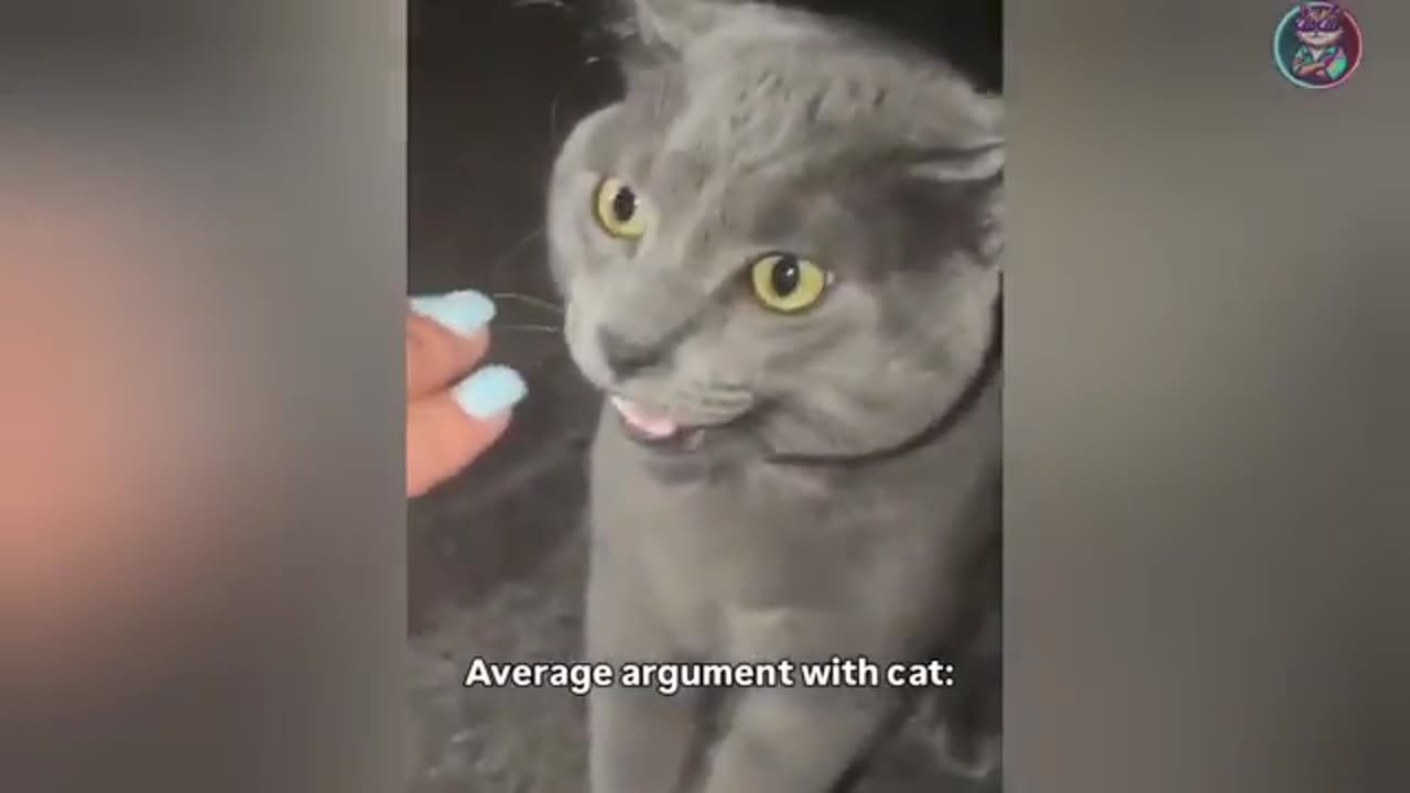 Funniest Animal part 1