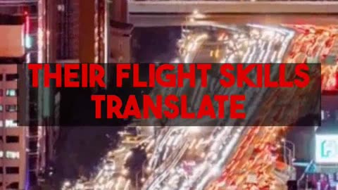 Beyond the Cockpit Travel Jobs for Ex Pilots