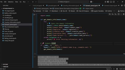 How to Get Domain Name Information Using Python