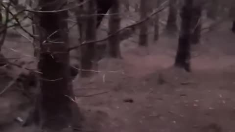 BRAKING NEWS SCARY CREATURE Caught on Camera