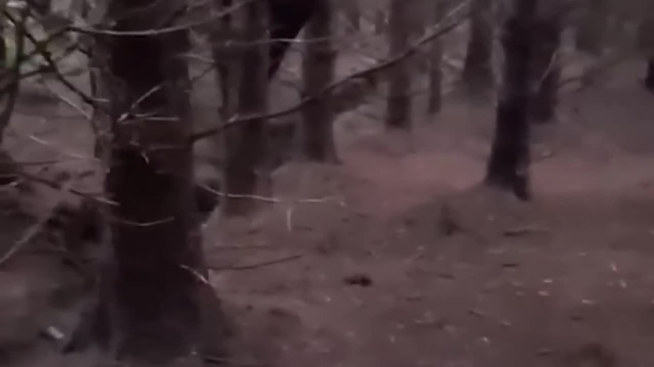 BRAKING NEWS SCARY CREATURE Caught on Camera