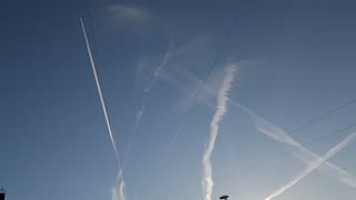 Rothschild BlackRock WEF Power...