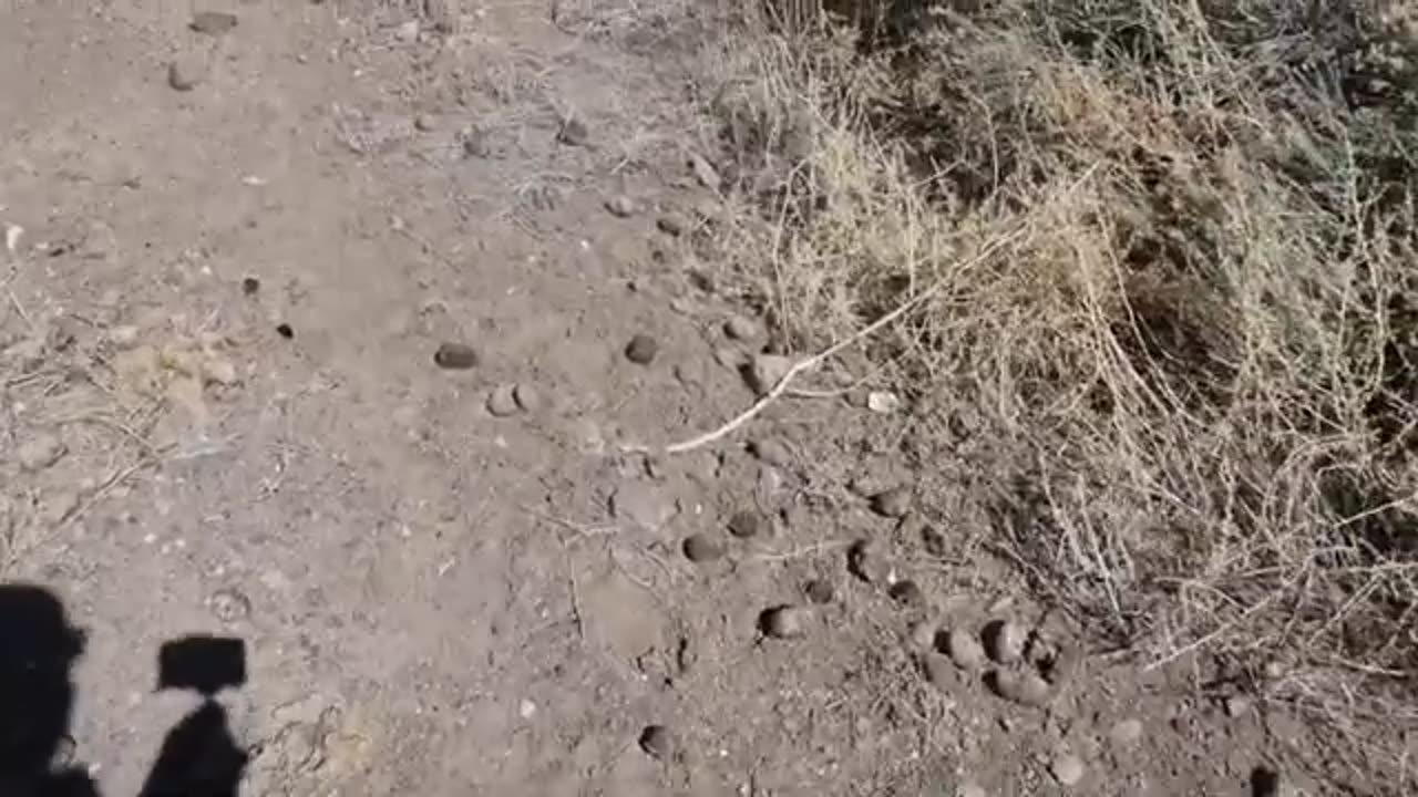 Goldfield Nevada! Exploring this ghost town filled with haunted history finds.