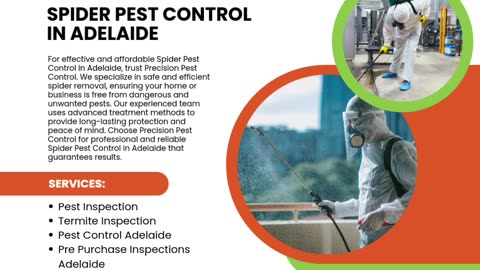 Effective Spider Pest Control in Adelaide to Eliminate Infestations