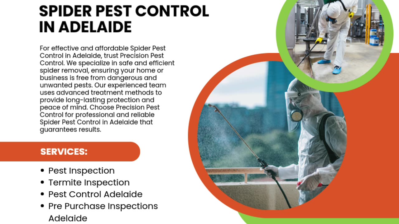 Effective Spider Pest Control in Adelaide to Eliminate Infestations