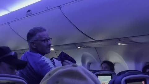 Palomas causan caos y retrasos en un vuelo de Delta en EE.UU