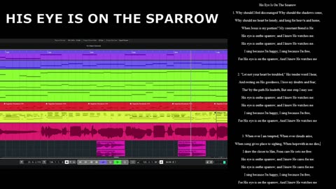 HIS EYE IS ON THE SPARROW