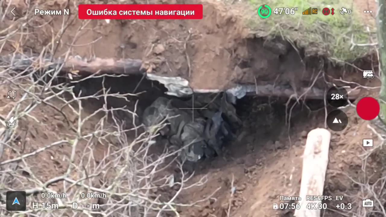 From a subscriber from Novopavlovka. The boar has given up the ghost.