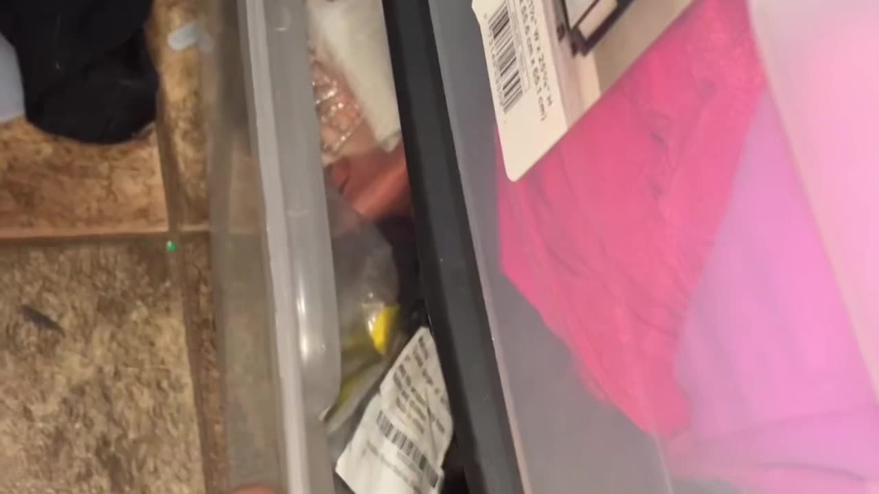 Cat Hides Inside Drawer Of Messy Closet