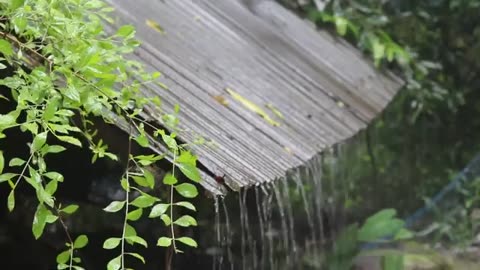 Rain sounds for sleep and meditation.