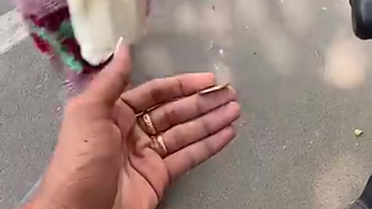 One Hand Impossible Visual Coin Vanish My Favourite