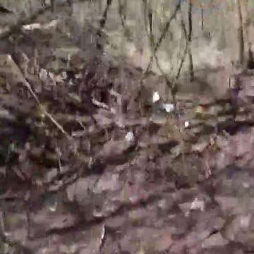 "There's a Sweet Smell of Death in the Air" Says Russian Soldier Walking Front Lines