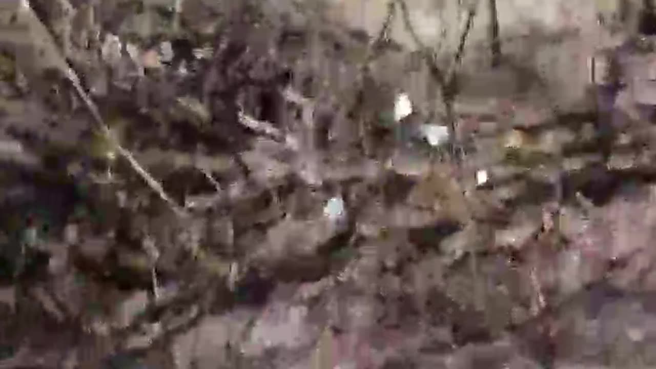 "There's a Sweet Smell of Death in the Air" Says Russian Soldier Walking Front Lines
