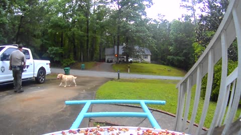 Husband Leaves Message For Wife On Bird Feeder Camera