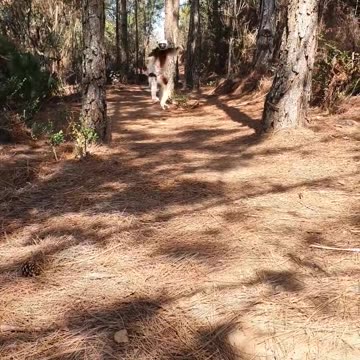 🎉 Here It Is, Here It Is – You’ve Been Waiting for This! 👀