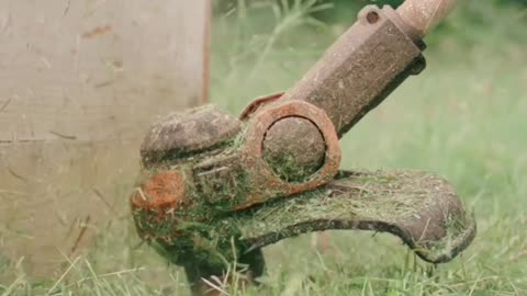 Grass Cutting Bliss