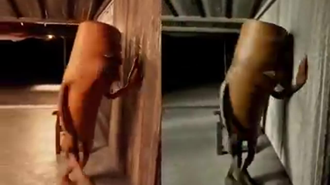 Real Vs AI – Who Did It Better? 🔥