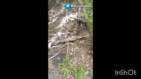 War in ukraine