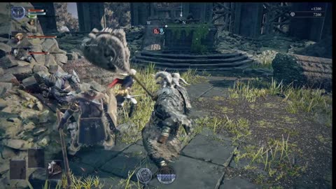 Elden Ring Nightreign Fails