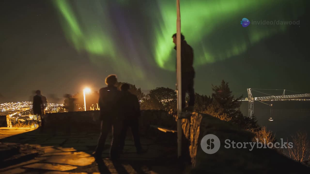 Catch the Northern Lights_ 2025's