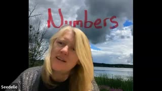 Numbers 26, Second Census of Israel – Tribes Counted, Inheritance by Lot, Moses Aaron