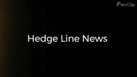 Hedge Line News: Fog of Peace