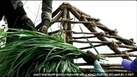 Part 1: Stranded at 17 - Sisters' Fight for Survival Begins