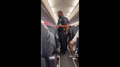 Snake On A Plane